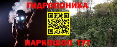 скорость Брянск