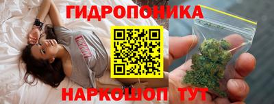 гашик Владимир