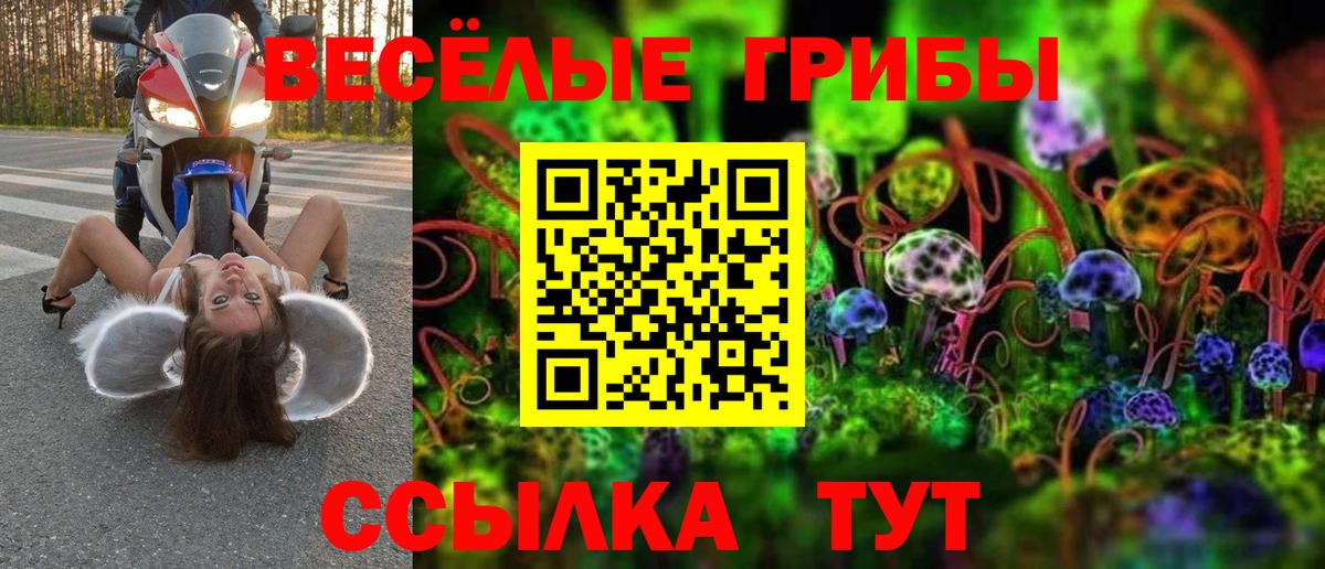Батайск  Псилоцибиновые грибы Psilocybe  Вход с VPN 